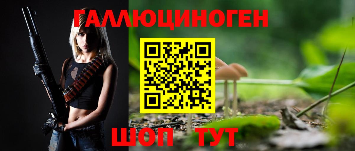 Псилоцибиновые грибы Psilocybine cubensis Магадан
